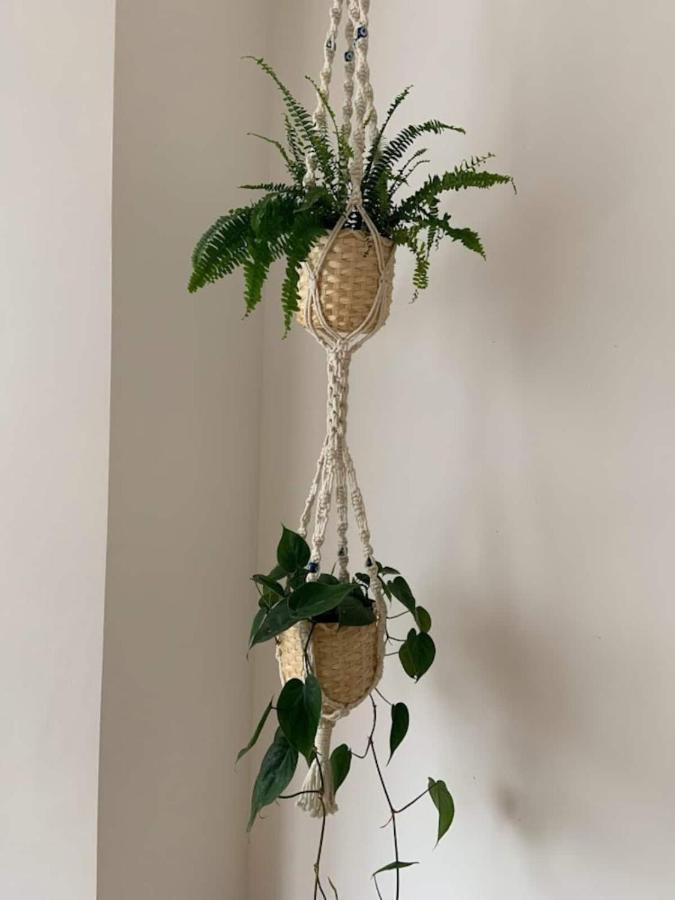 Lovely Spacious 1-Bedroom Flat In Tufnell Park Close To Central לונדון מראה חיצוני תמונה