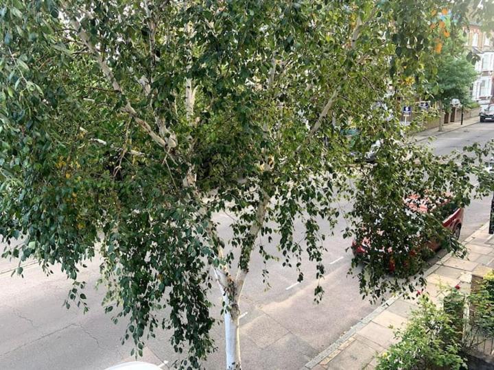 Lovely Spacious 1-Bedroom Flat In Tufnell Park Close To Central לונדון מראה חיצוני תמונה